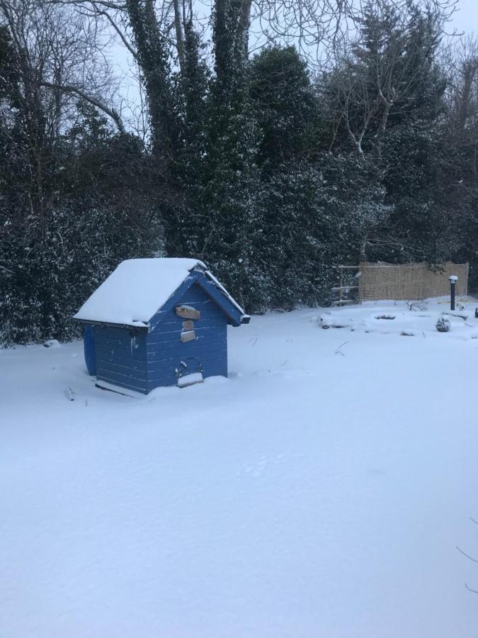 Log Cabin Armagh Ngoại thất bức ảnh